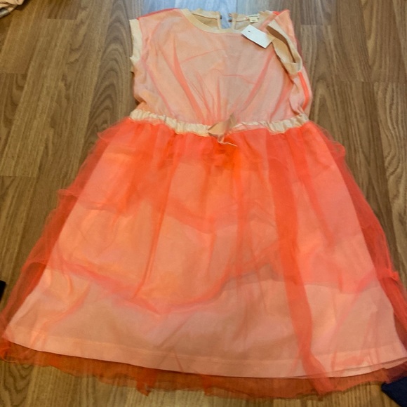 Crewcuts Other - Kids Crewcuts tule dress